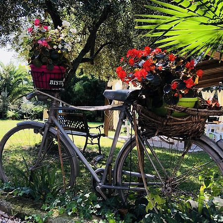 Villa Berghella Montesilvano Marina Εξωτερικό φωτογραφία