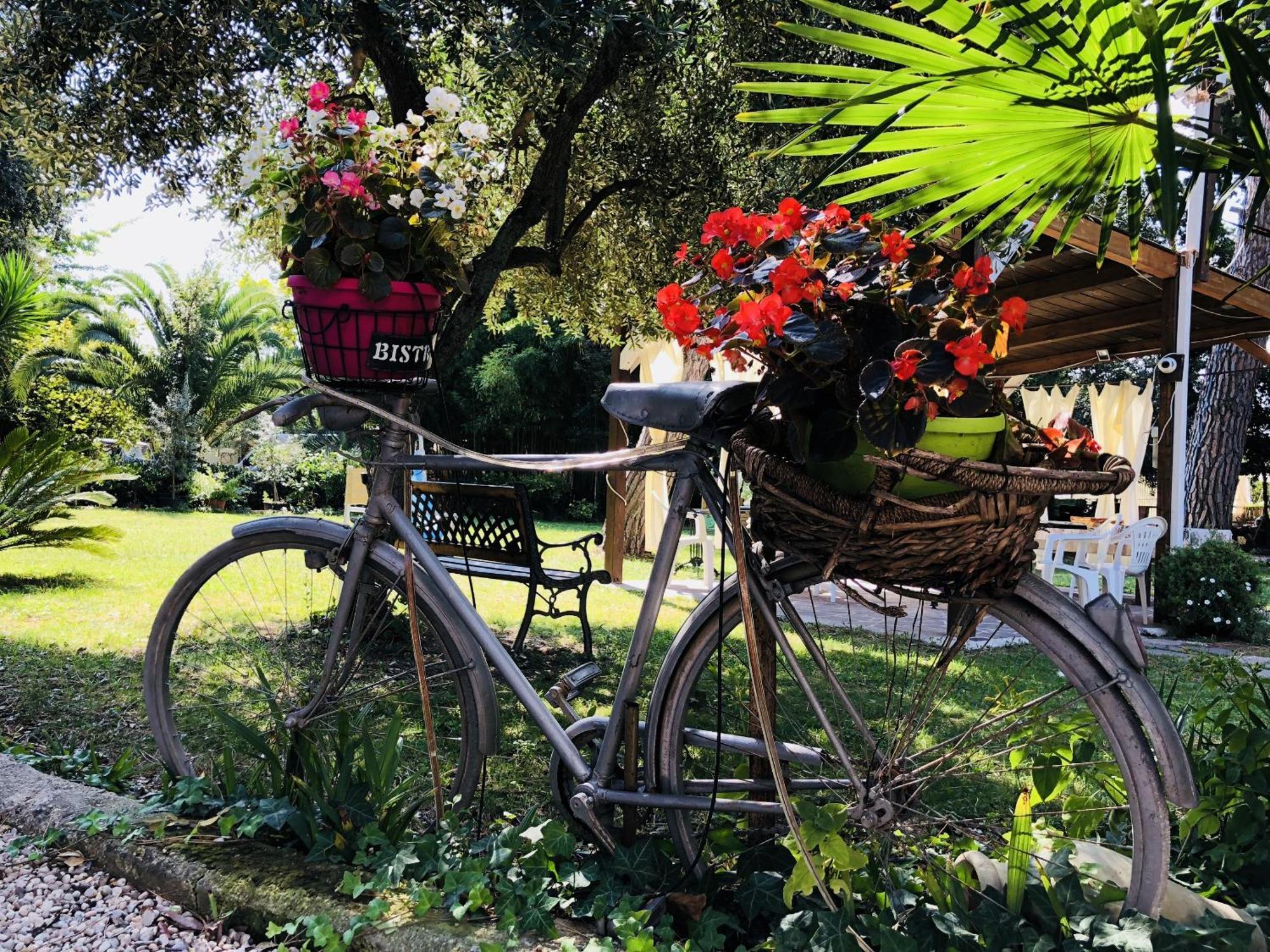 Villa Berghella Montesilvano Marina Εξωτερικό φωτογραφία